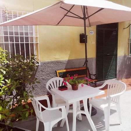 Pierina Apartamento Lucca Exterior foto