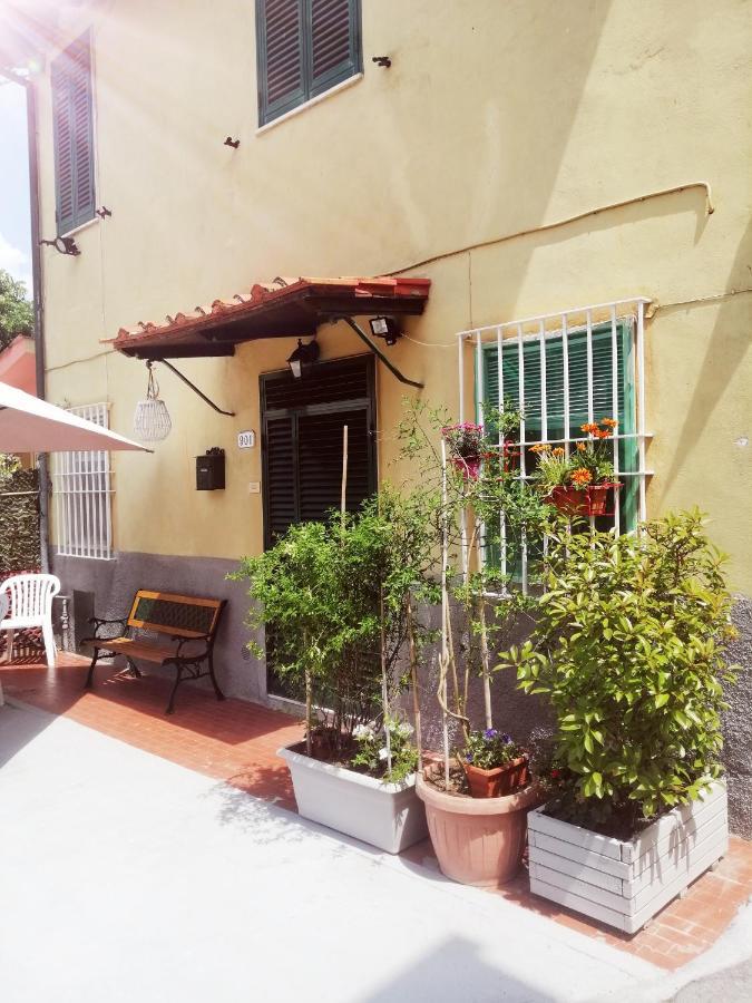 Pierina Apartamento Lucca Exterior foto
